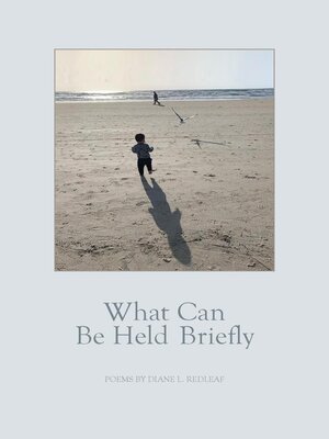 cover image of What Can Be Held Briefly